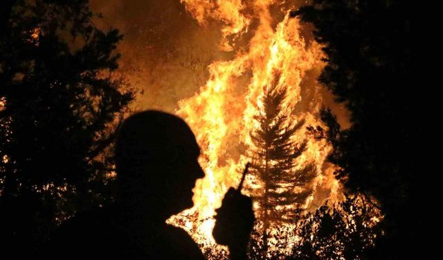 Antalya, bir gecede 2 ilçedeki 5 ayrı noktada yangınla mücadele etti