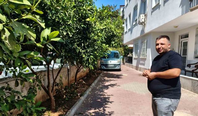Antalya’da portakal koparma kavgası