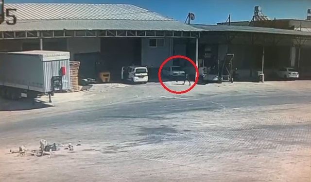 Demre Hali’ndeki patlamada güvenlik kamerasındaki detay olayın şiddetini gözler önüne serdi