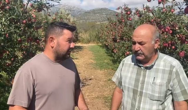 Isparta’da bir gecede 4 bin 200 ton elma doluya teslim oldu, zarar 170 milyon TL