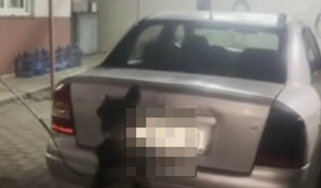 Otomobilin gaz tankından uyuşturucu çıktı: 6 tutuklama