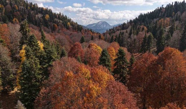 Adana’da sonbahar güzelliği: Adeta doğa sanata dönüştü
