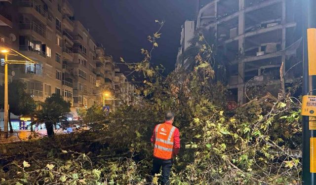Belediye ekipleri, yağışın oluşturduğu olumsuzluklara 81 araç ve 323 personelle hızla müdahale etti