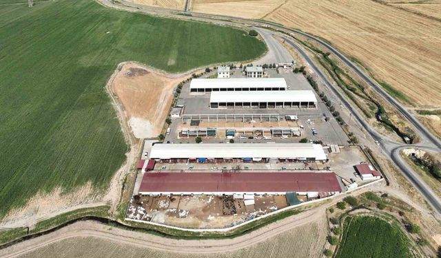 Kahramanmaraş canlı hayvan pazarı açıldı