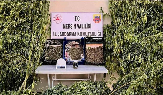 Mersin’de uyuşturucu operasyonu