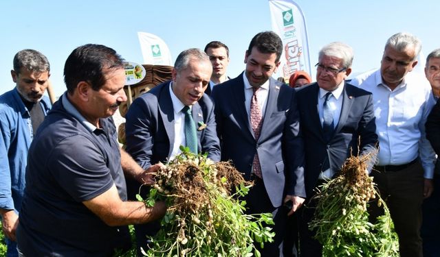 Osmaniye Fıstık Festivali’ne hazırlanıyor