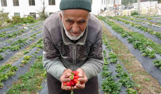 85 yaşındaki İbrahim dede "Hayır Bahçesi"nde yetiştirdiği meyve ve sebzeleri ücretsiz ikram ediyor