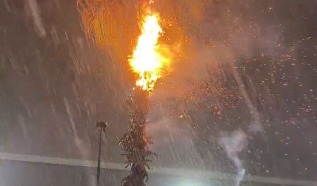 Adana’da düşen yıldırımlar yangına neden oldu