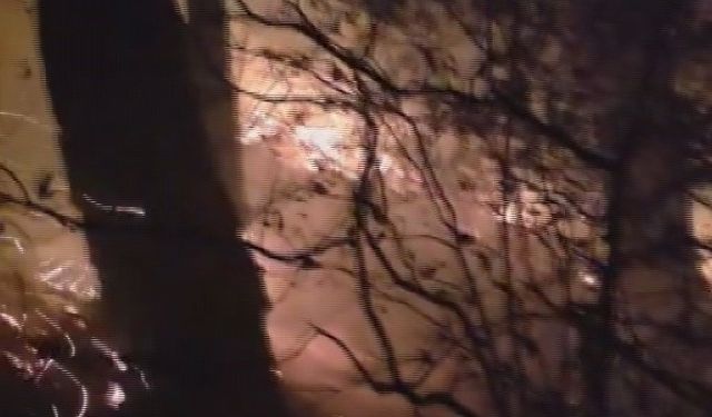 Hatay’da yıldırım düşmesiyle çıkan orman yangına müdahale devam ediyor