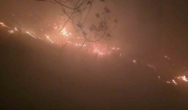 Hatay’da yıldırımın düştüğü ormanlık alanda yangın çıktı