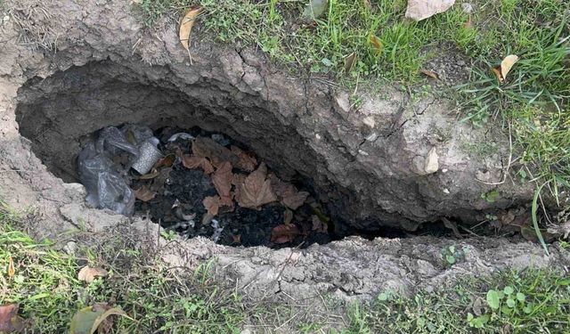 Isparta’da elma bahçelerinde yaklaşık 1 metrelik obruklar oluştu, bazı evlerin duvarları çatladı