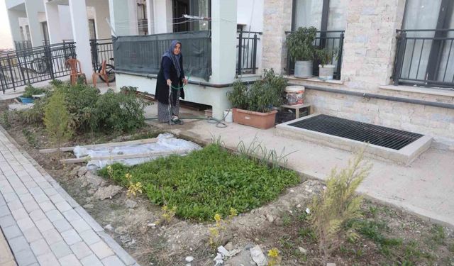 "Kadın eli değen her yer güzelleşir" sözü gerçek oldu: Depremzede kadın yeni yuvasının bahçesini ektiği sebzelerle güzelleştirdi