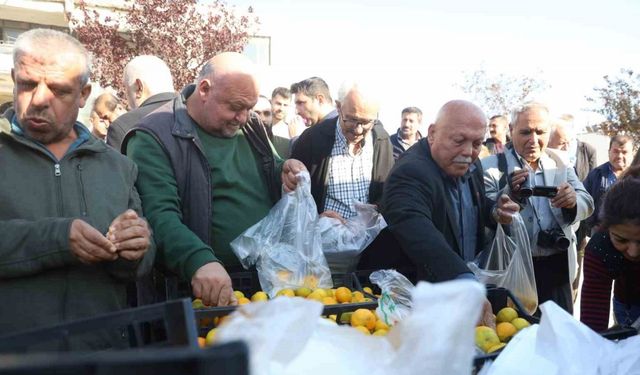 Mandalinanın fiyatı 2 TL’ye düşünce tonlarca ürünü vatandaşlara ücretsiz dağıttılar