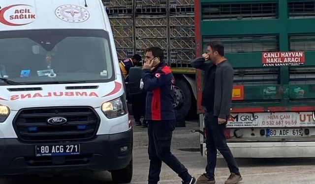 Tırın altında kalan yaşlı adam hayatını kaybetti