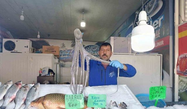 Denize kıyısı olmayan Kahramanmaraş’ta balığa yoğun ilgi