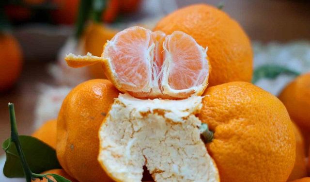 En ucuz meyve  mandalina: Dalında 3, pazarda 5 lira