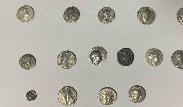 Hatay’da 26 sikke kargo ile göndermek üzereyken ele geçirildi