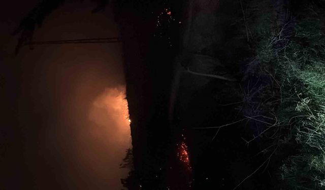 Hatay’da çıkan  otluk yangını söndürüldü