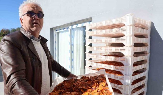 Köyde kurulan tesisle kurutulan cennet hurmaları Almanya’ya ihraç edildi