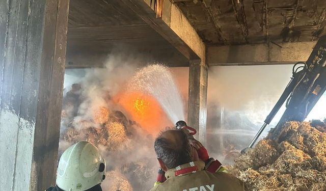 Samandağ’da samanlıkta çıkan yangın 10 saatte kontrol altına alındı