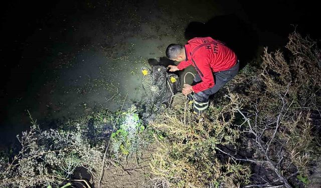 Su kanalına düşen buzağıyı itfaiye kurtardı