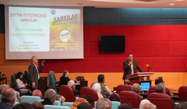 Tarsus’ta Sarıulak zeytini için üreticilere eğitim verildi