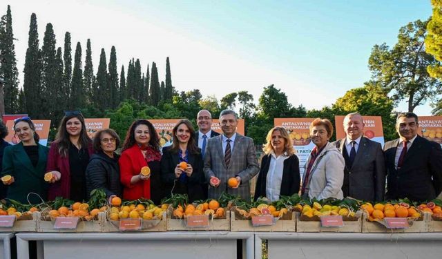 Tescillenip dünya pazarında yerini alan Antalya portakalları tanıtıldı