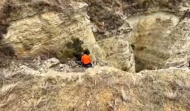 Uçurumda mahsur kalan köpeklerini halatla inerek kendi imkanlarıyla kurtardılar