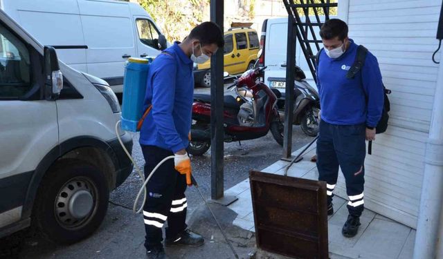 Vektörel mücadele çalışmaları devam ediyor