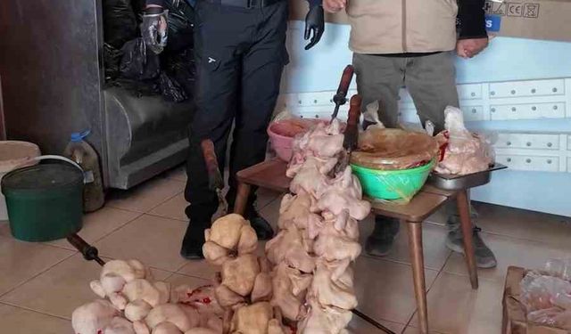 Zabıta ekiplerinin ‘Leş kokusu var’ dediği dönercide mide bulandıran görüntü