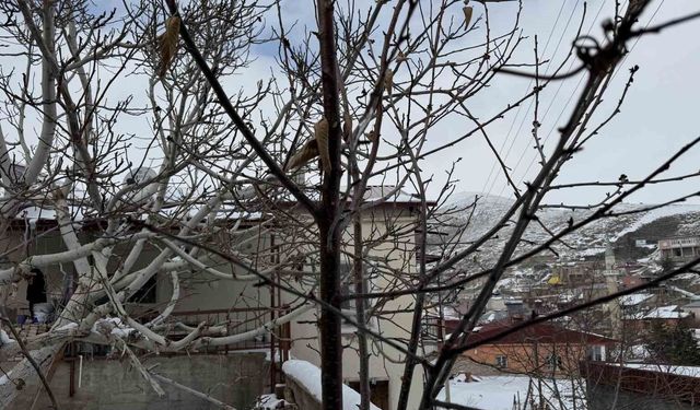 52 yılın en kurak zamanını geçiren çiftçi yağışlarla sevindi: İkinci üründe su sıkıntısı yaşanmayacak