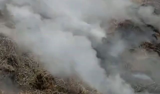 Adana'da samanlık yangını kontrol altına alındı