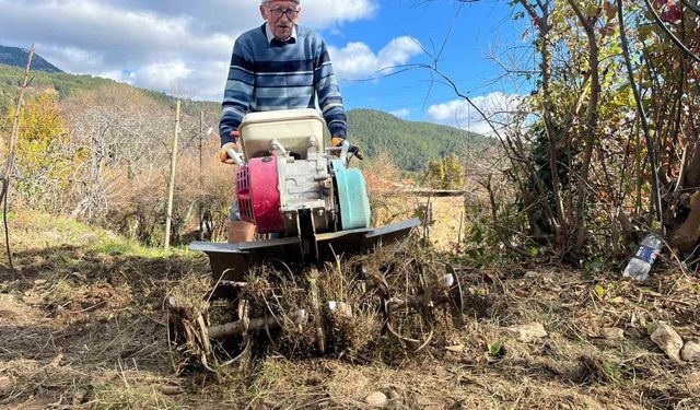 Antalya'da 82 yaşındaki yeminli mali müşavirden köy hayatına örnek proje
