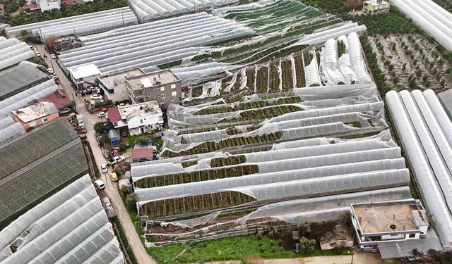 Finike'de hortumdan zarar gören seralarda hasar tespiti başladı