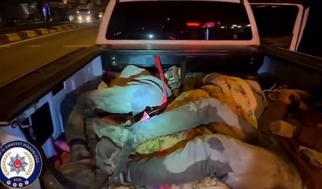 Hatay'da 8 kaçak göçmen yakalandı, 2 organizatör tutuklandı