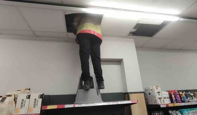 Havalandırma boşluğunda mahsur kalan kediyi itfaiye kurtardı