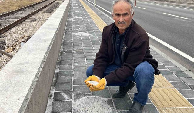 Karayolunun kenarında beyaz örtü oluşturan tırlardan dökülen gübreler, fırçalarla toplanarak bahçelerde değerlendiriliyor