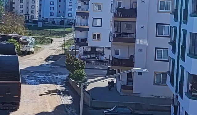 Osmaniye'de 5. kattan merdiven boşluğuna düşen adam hayatını kaybetti