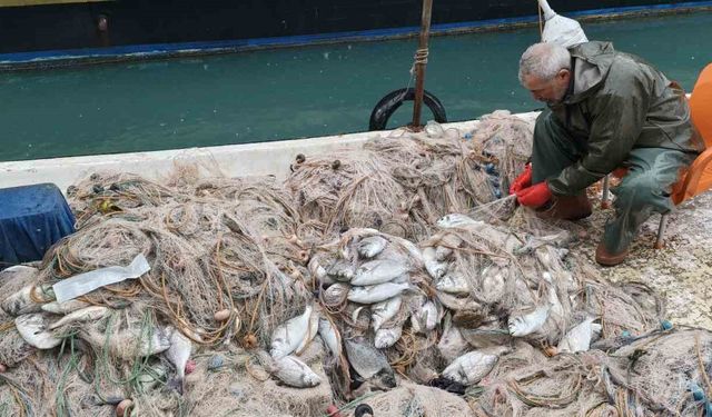 Silifke'de balık çiftliğinin ağı yırtıldı, kıyılar balıkla doldu