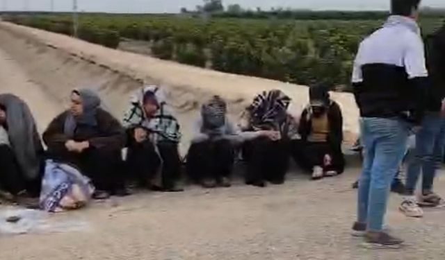 Adana'da trafik kazası: 1'i ağır 7 tarım işçisi yaralandı