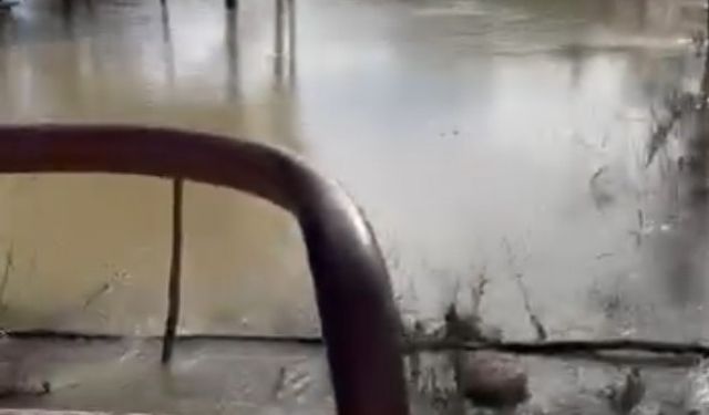 Antalya Serik'te taşan ırmak suları tarım arazileri ve caddeleri sular altında bıraktı