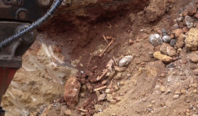 Antalya'da belediye kazısında kemik parçaları bulundu