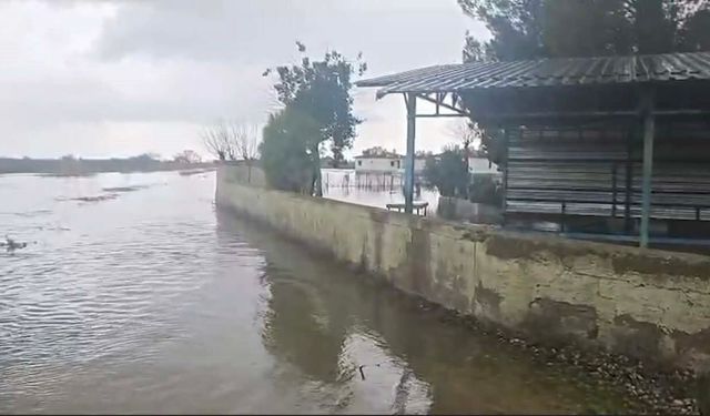 Osmaniye'de afet konutlarına su dolmasının nedeni menfez yıkımı