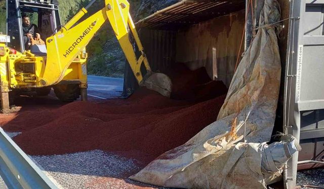 Peyzaj malzemesi yüklü tır devrildi