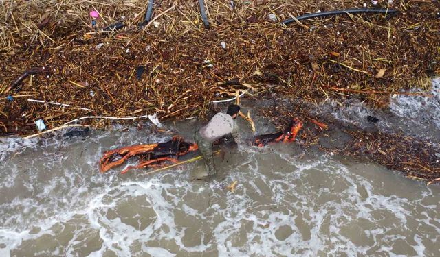 Sel sonrası 'milyonluk' yazlıkların önünde 'ekmek' mücadelesi