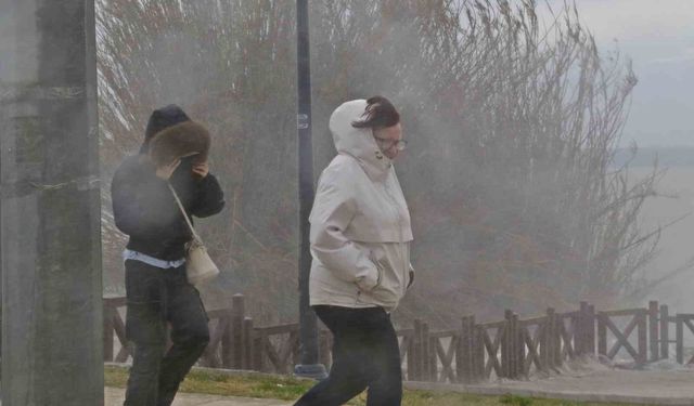 Şelale şiddetli rüzgarla tersine çağladı, denizin rengi kahverengiye büründü