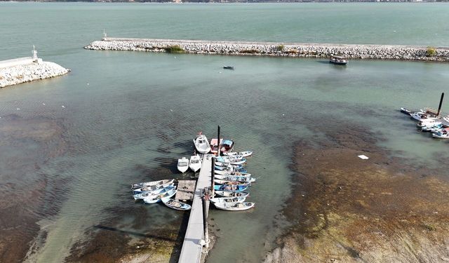 Yağışlar etkisini gösterdi Eğirdir Gölü'nde su seviyesi 25 santimetre arttı