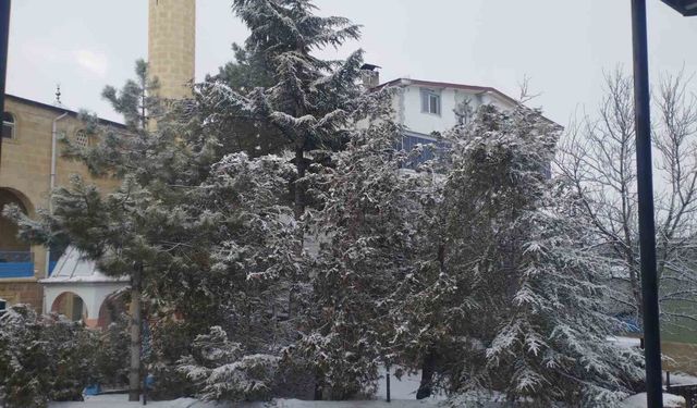 Adana'da kar sürprizi