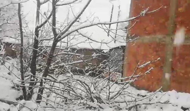 Adana'da Mart ayında kar sürprizi