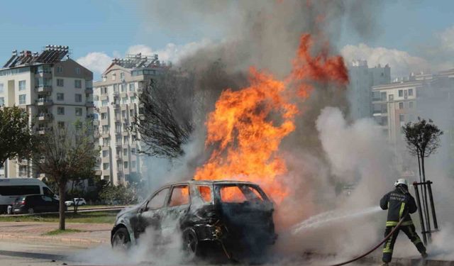 Alev topuna dönen araçtan kedisiyle birlikte son anda çıktı: Sahibinin omuzundan bir an olsun ayrılmadı